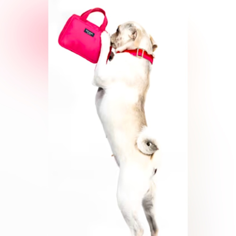 NWT • Kate Spade • New York • Pink Handbag • Dog Chew Toy • Size Medium - Picture 4 of 5
